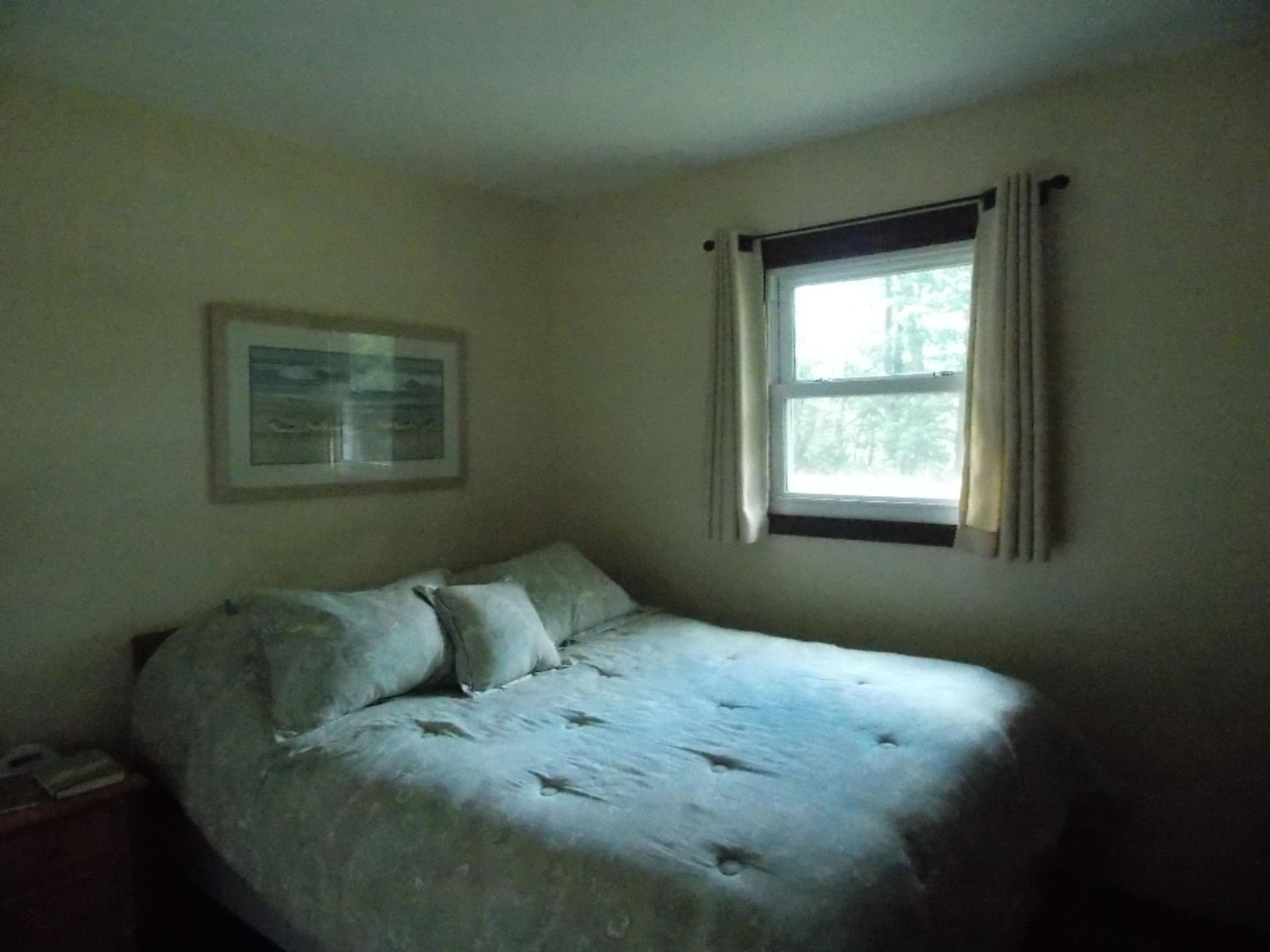 10134 Sikkenga Road Montague, MI 49437 - Photo 17 of 41 DSCN1567