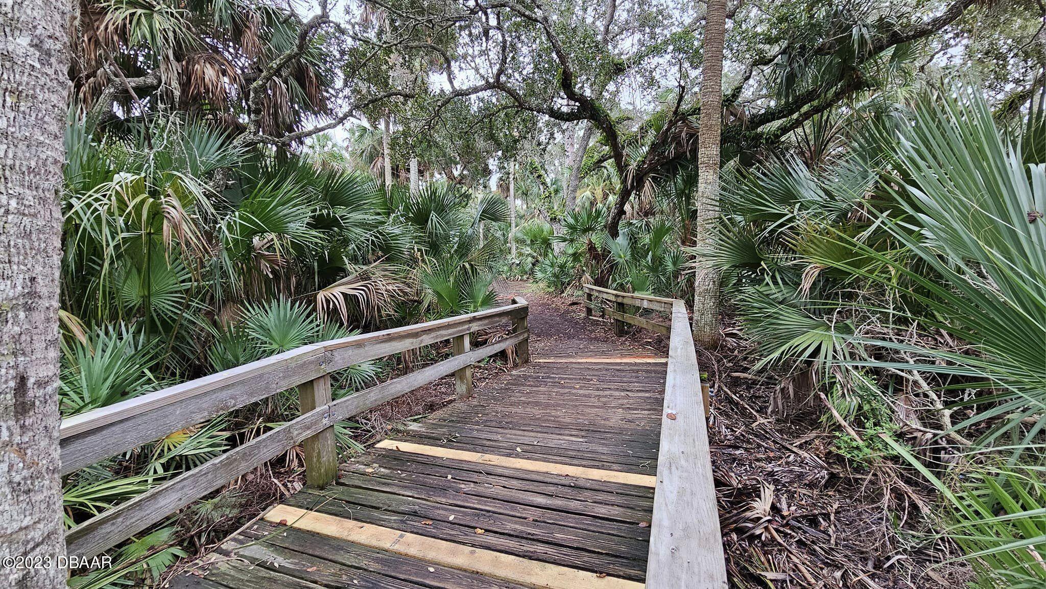 43 Sandra Drive Ormond Beach, FL 32176 - Photo 36 of 50 walking trails