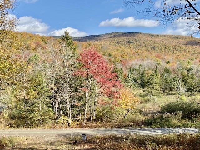 2075 Codding Hollow Road Johnson, VT 05656 - Photo 41 of 54