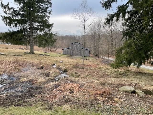 1054 Eakin Road Emlenton, PA 16373 - Photo 13 of 15 a view of a yard with large trees