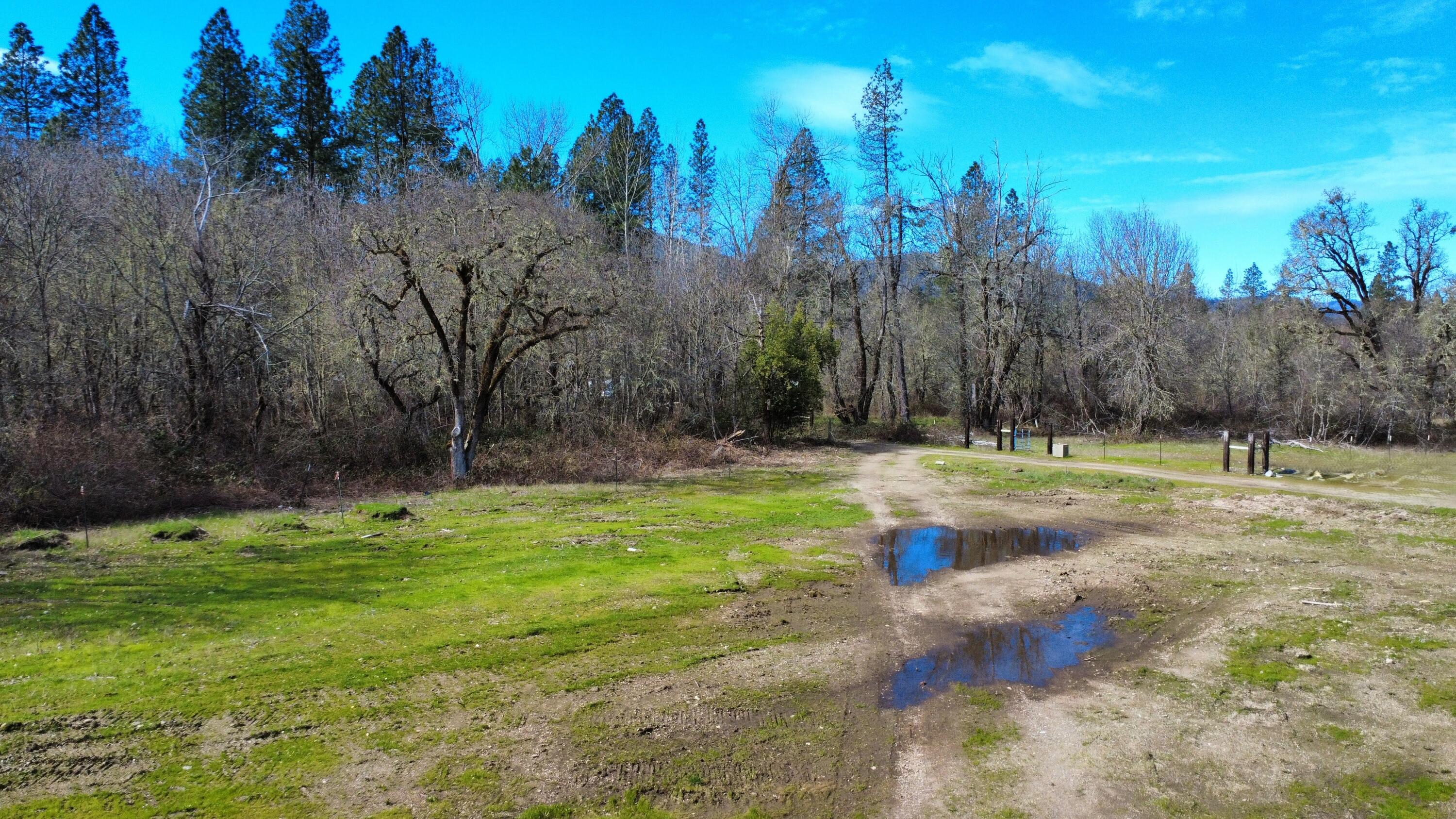 1449 Rockydale Road Cave Junction, OR 97523 - Photo 5 of 11 a view of a yard with a house