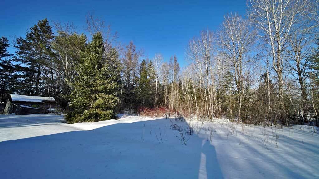 3451 Bancroft Road Wytopitlock, ME 04497 - Photo 17 of 38 3451-bancroft-rd-reed-me-11