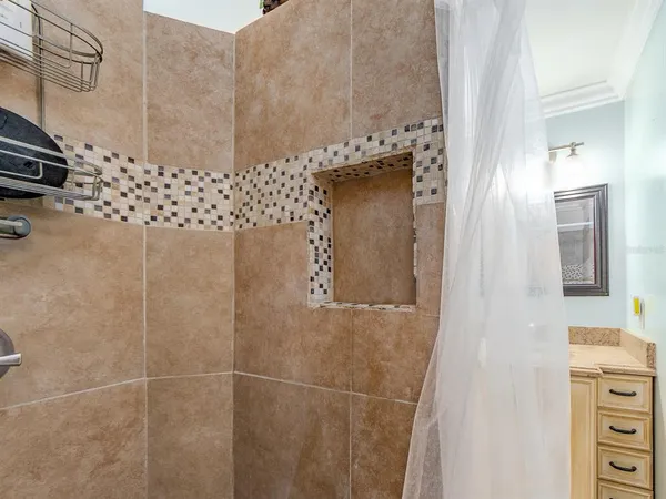 a view of a plant in a window