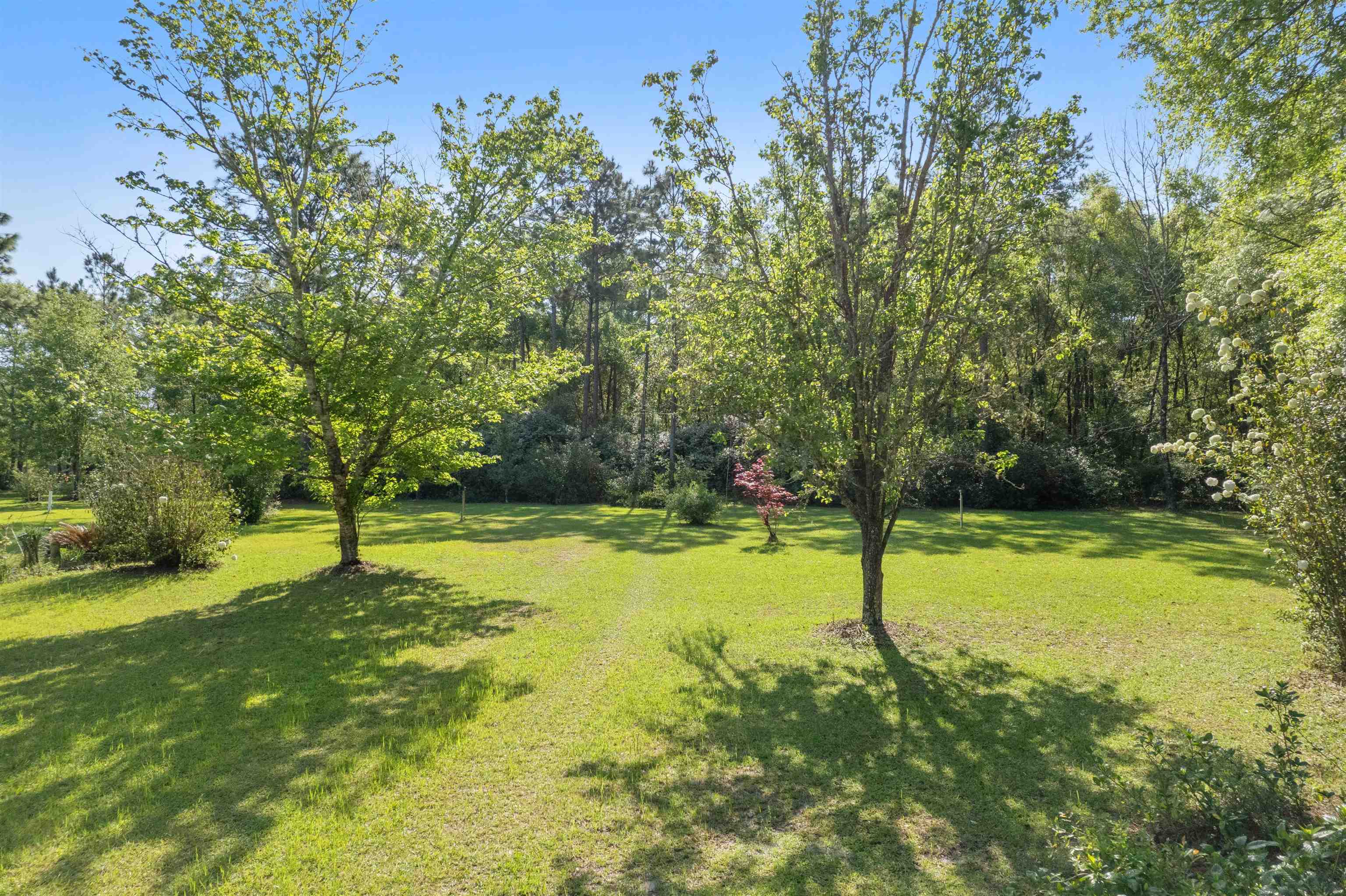 205 Ivan Church Road Crawfordville, FL 32327 - Photo 3 of 39