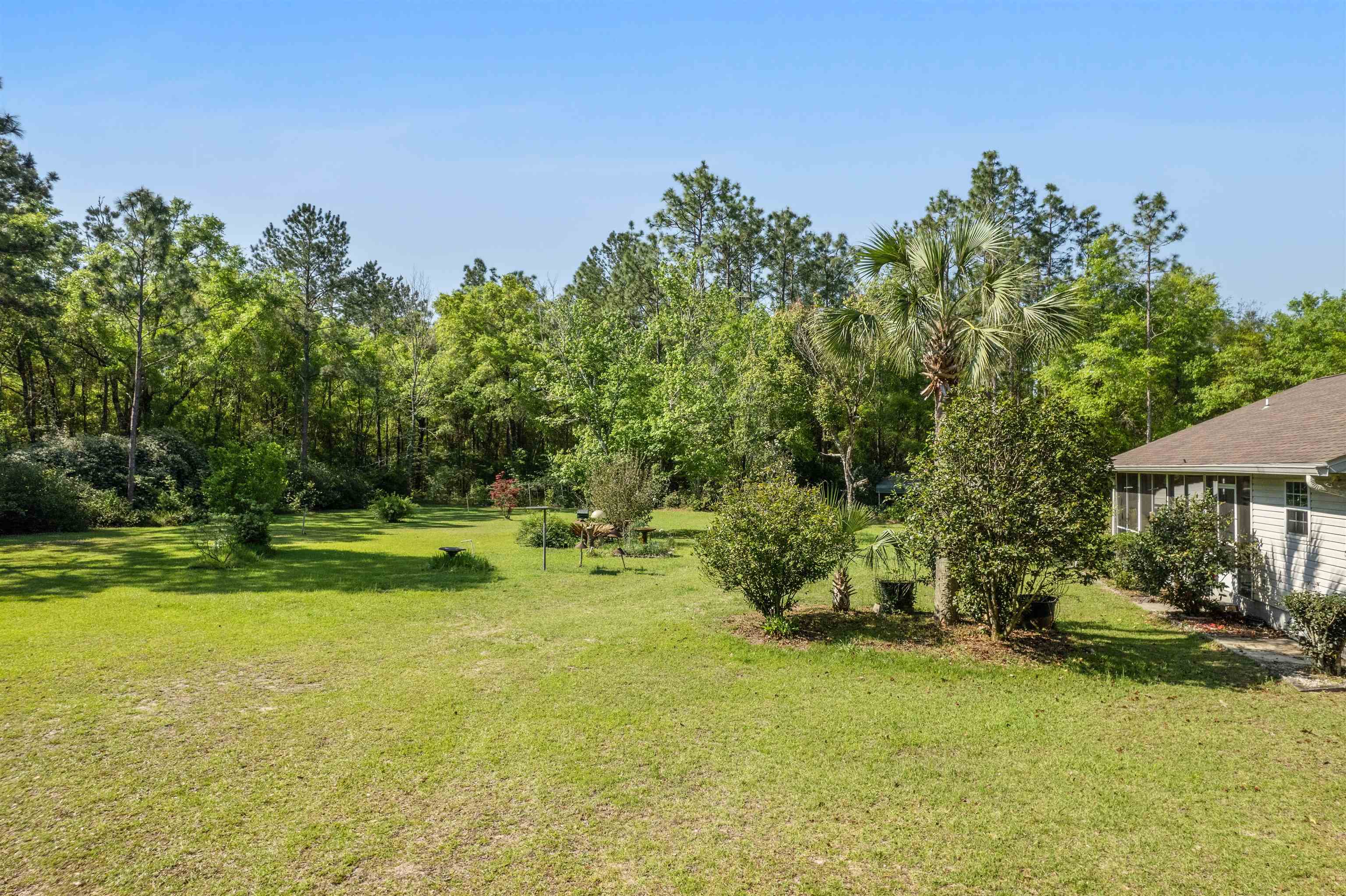 205 Ivan Church Road Crawfordville, FL 32327 - Photo 4 of 39