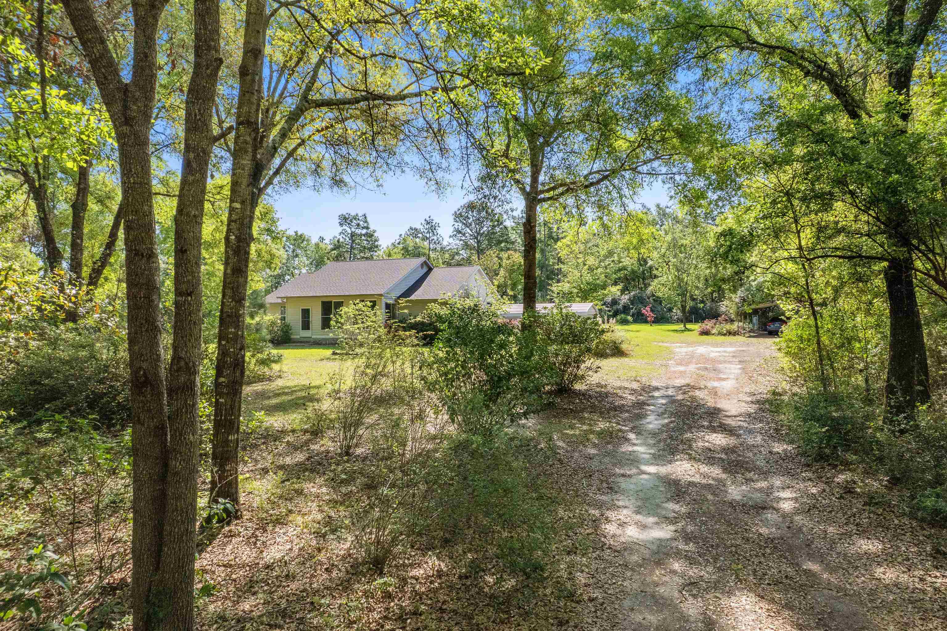 205 Ivan Church Road Crawfordville, FL 32327 - Photo 5 of 39