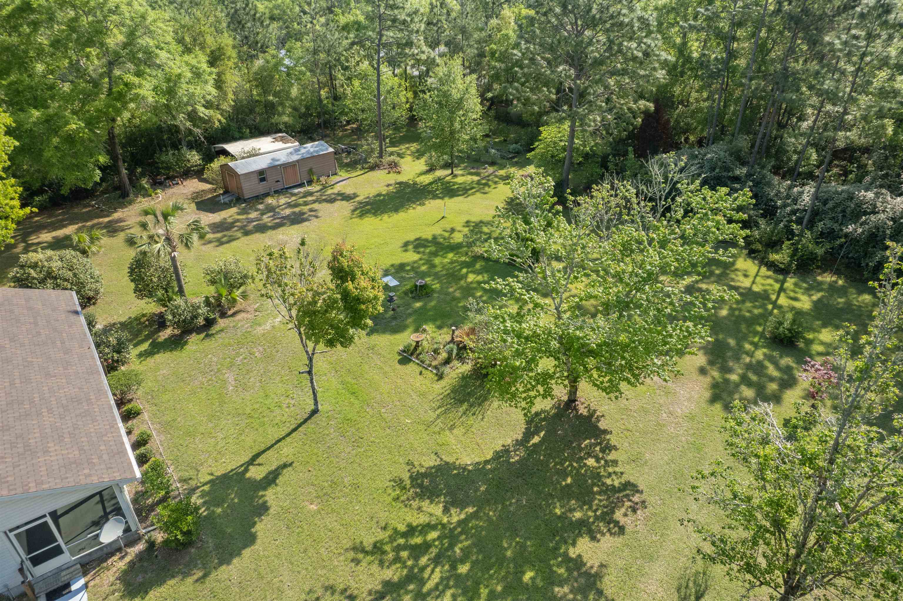 205 Ivan Church Road Crawfordville, FL 32327 - Photo 9 of 39