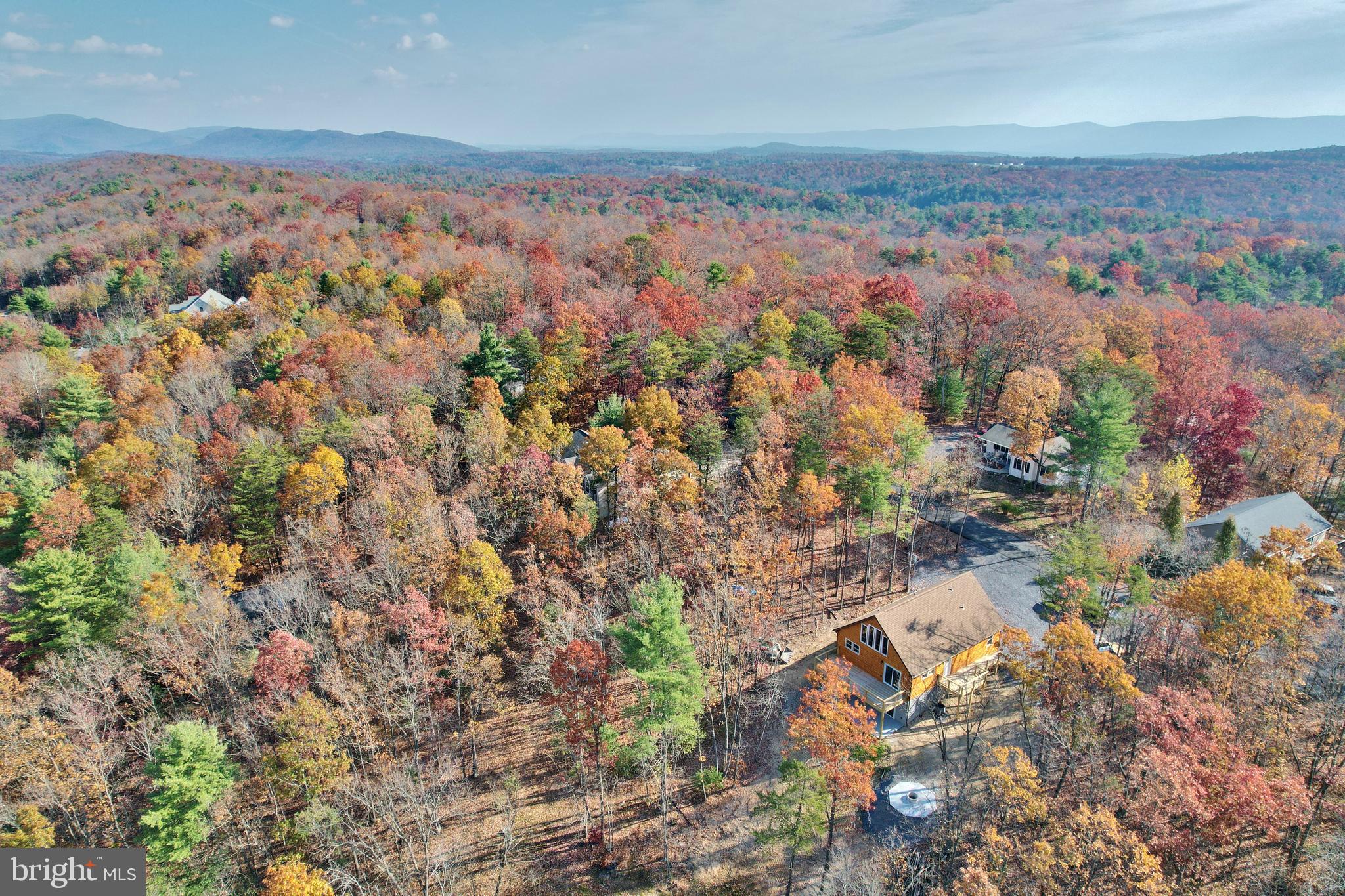 8315 Supinlick Ridge Road Basye, VA 22842 - Photo 28 of 71