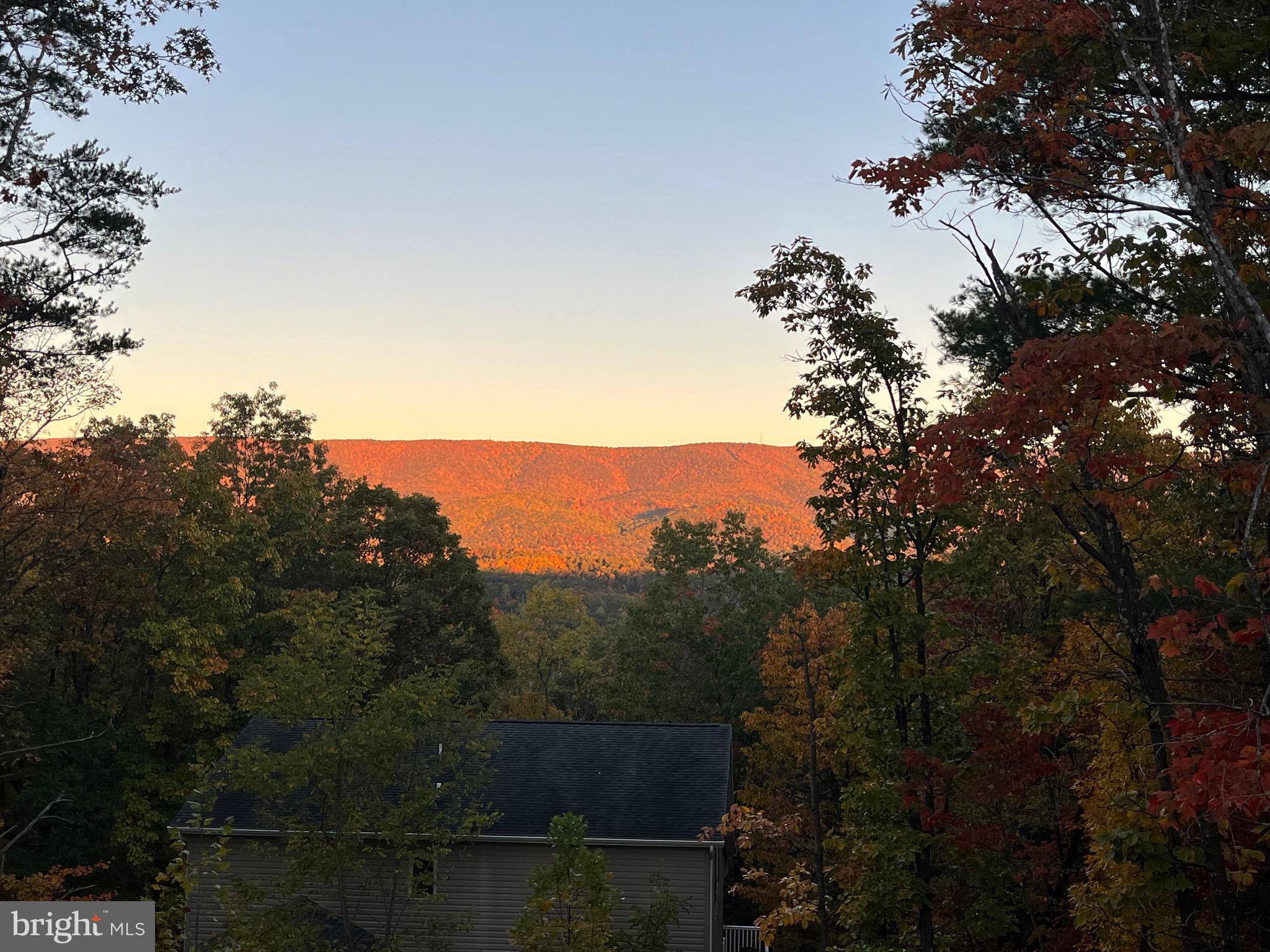8315 Supinlick Ridge Road Basye, VA 22842 - Photo 6 of 71
