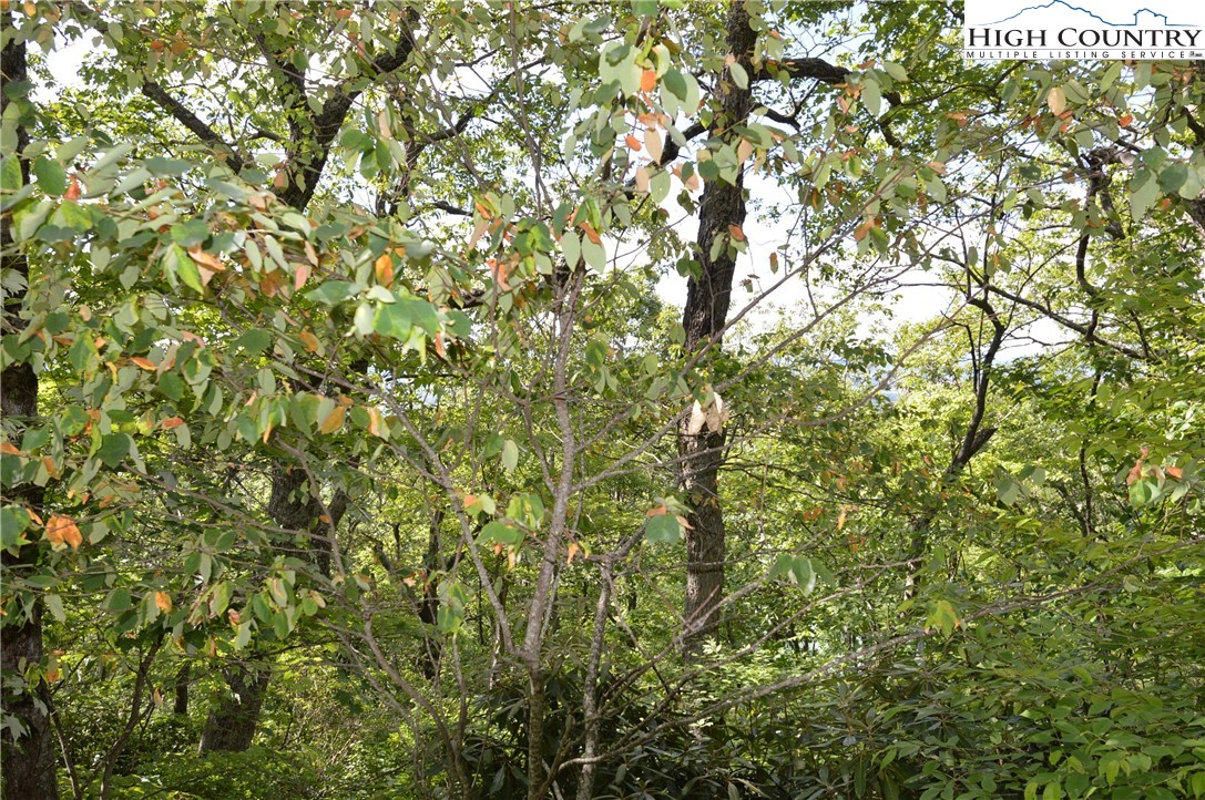 Mountain Lane Sparta, NC 28675 - Photo 12 of 14