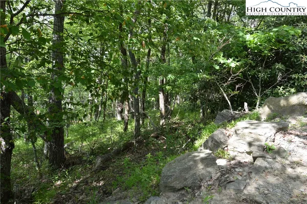 $22,500 | Mountain Lane, Sparta, NC 28675