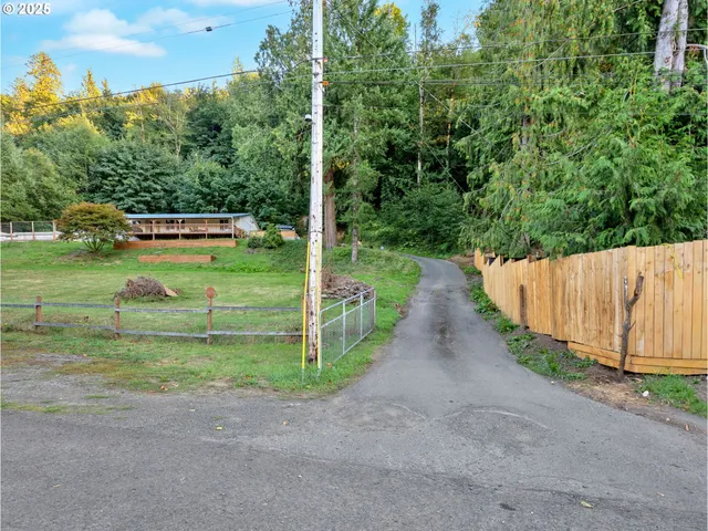 a view of a park with large trees