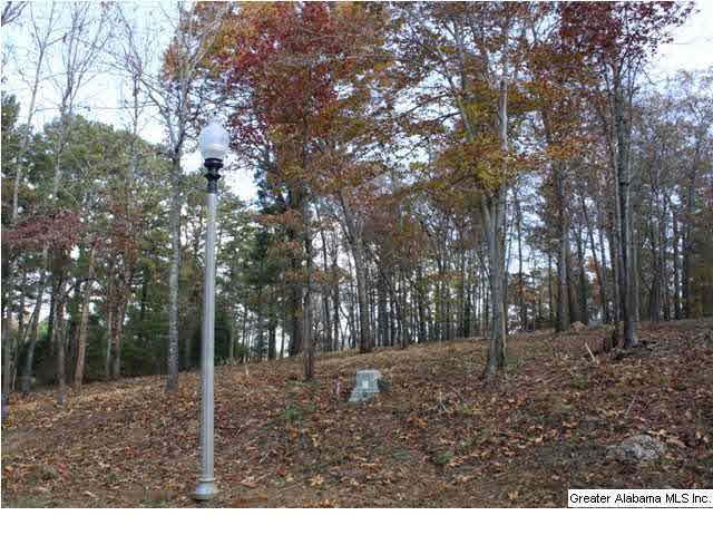 Peyton Place, Unit 3 Weaver, AL 36277 - Photo 22 of 40