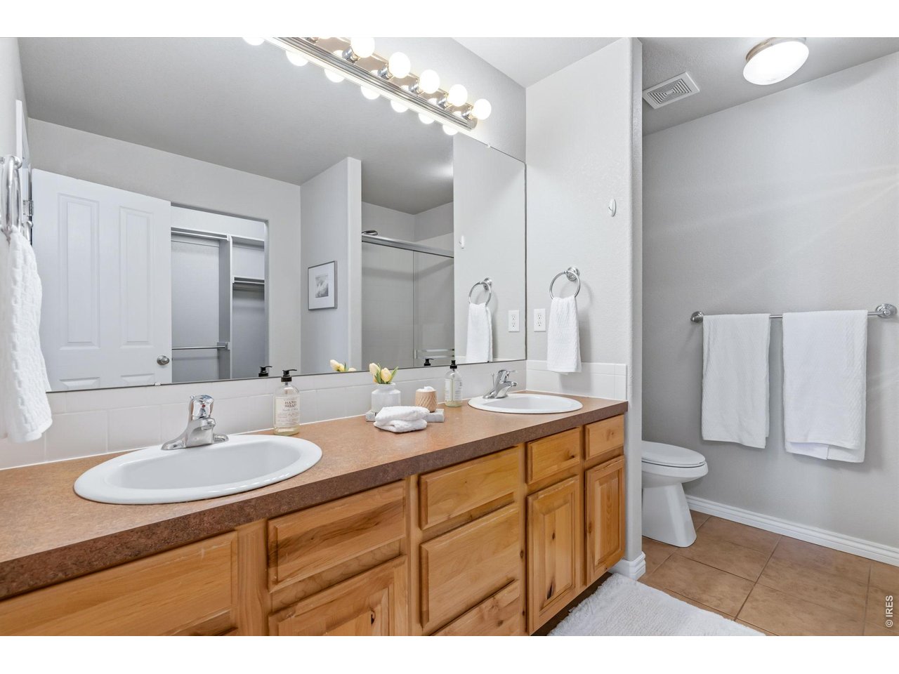 8972 Raging Bull Lane Wellington, CO 80549 - Photo 26 of 45 Primary Bathroom