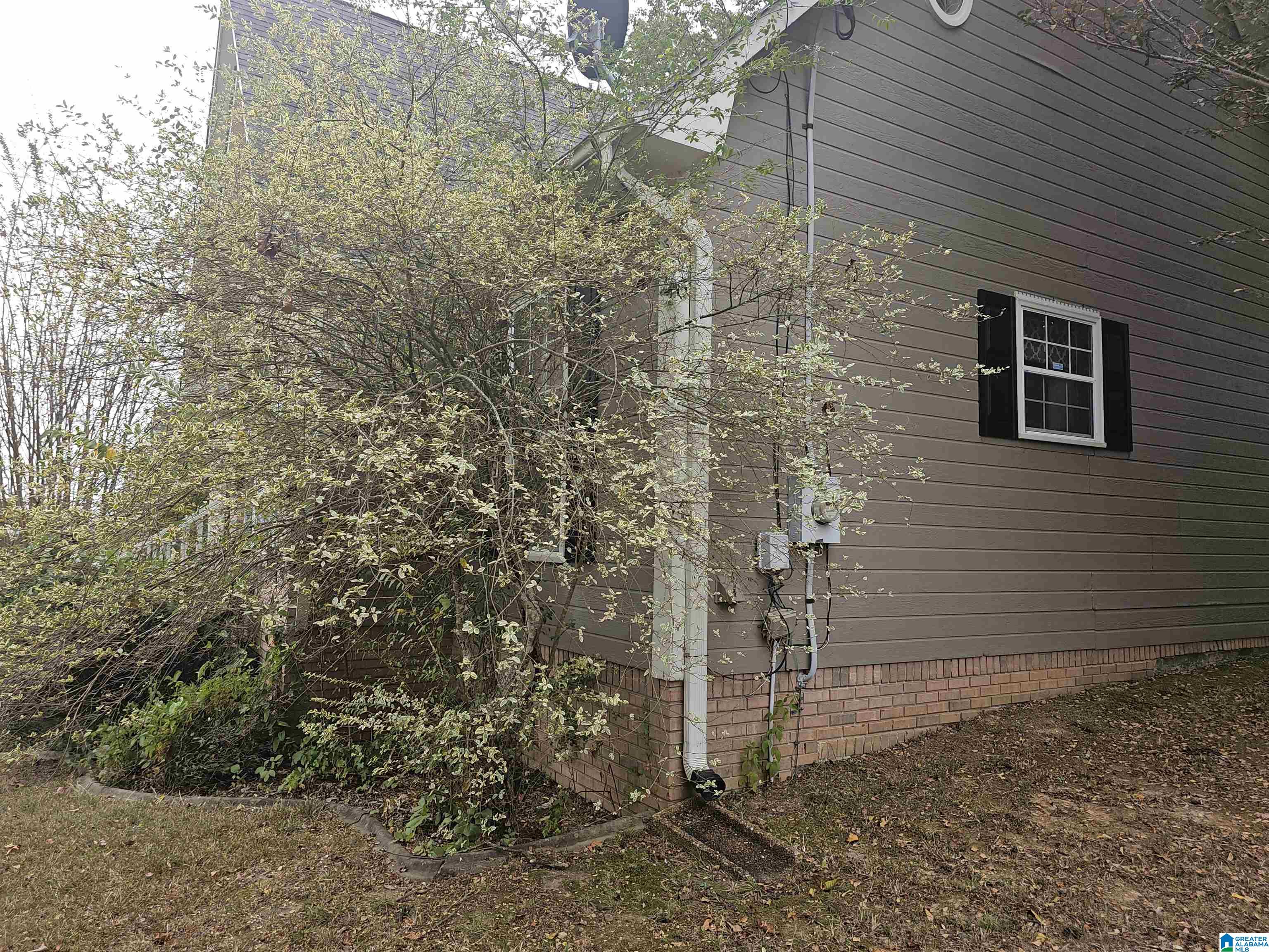 4886 Hackberry Circle Pinson, AL 35126 - Photo 8 of 87