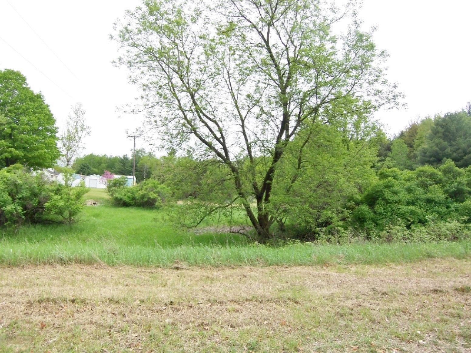 Lot 23 Ridge Road Evart, MI 49631 - Photo 1 of 12 000_0585