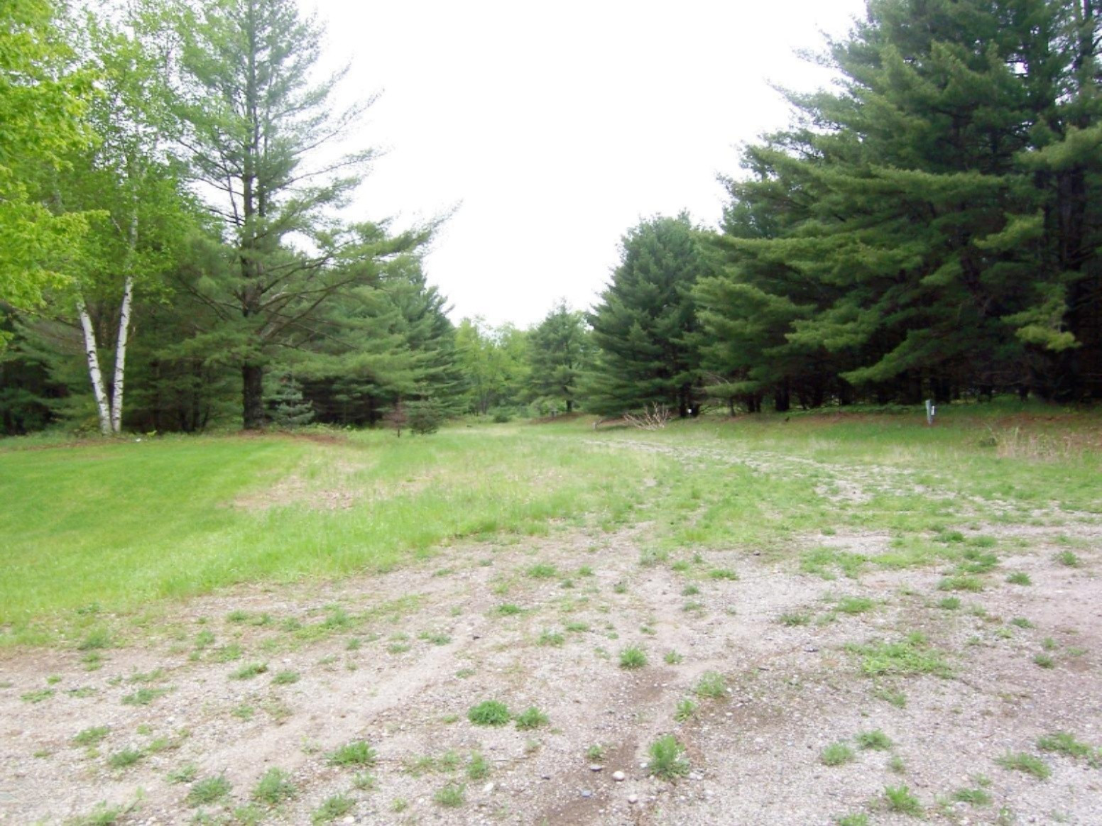 Lot 23 Ridge Road Evart, MI 49631 - Photo 4 of 12 000_0588