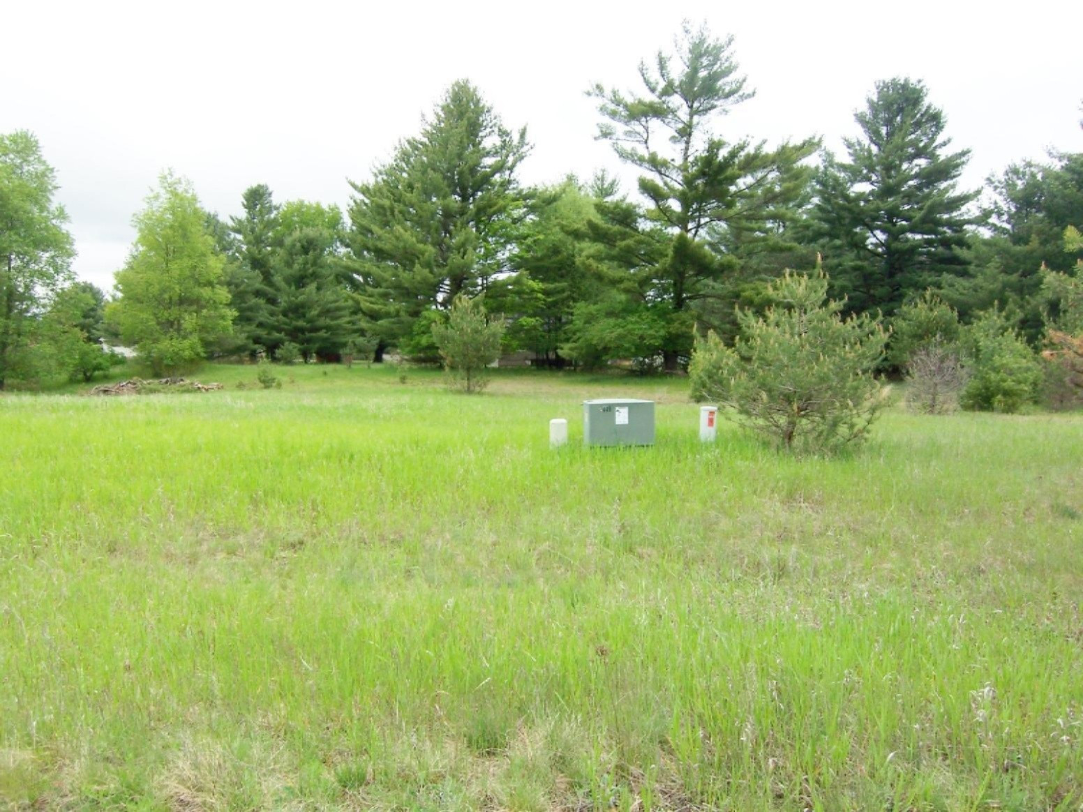 Lot 23 Ridge Road Evart, MI 49631 - Photo 7 of 12 000_0591