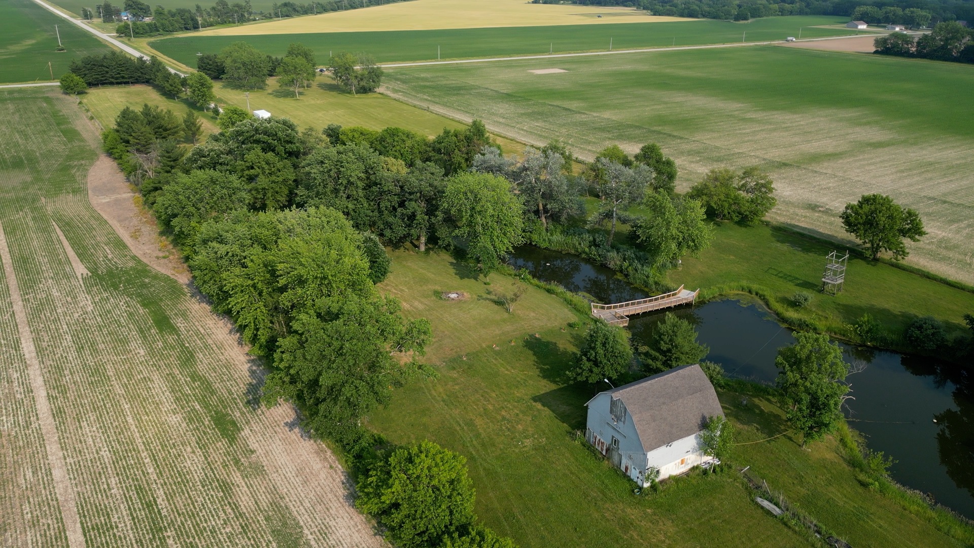 31091 North 700 E Road Cornell, IL 61319 - Photo 53 of 58 an aerial view of residential houses with outdoor space and trees