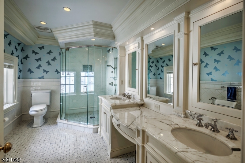 156 Overleigh Road Bernardsville, NJ 07924 - Photo 29 of 48 a bathroom with a granite countertop sink a toilet a mirror and shower