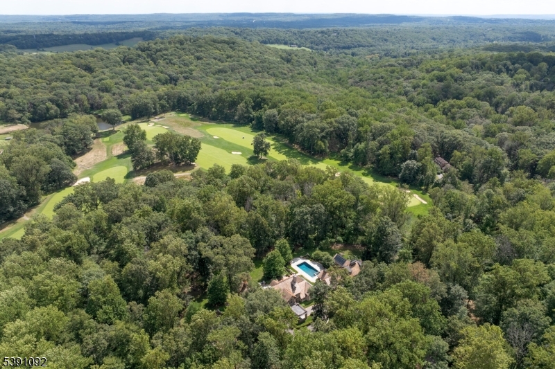 156 Overleigh Road Bernardsville, NJ 07924 - Photo 48 of 48 an aerial view of mountain with trees