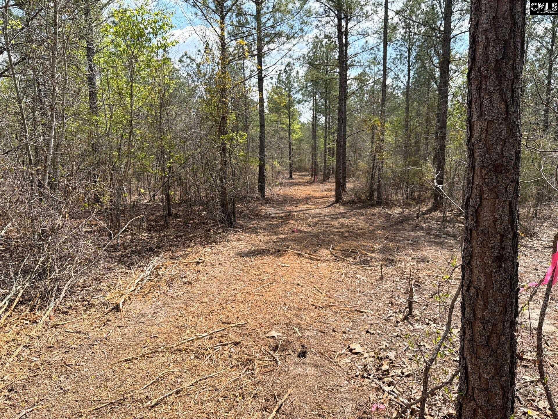 4 Mt Calvary Rd Ridge Spring Ridge Spring, SC 29129 - Photo 32 of 40