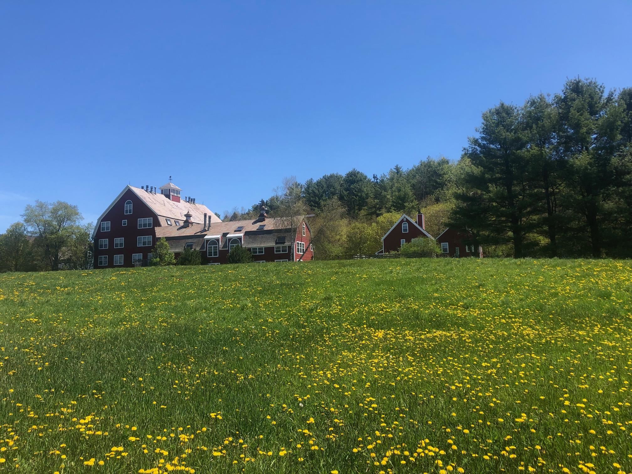 254 Boynton Road, Unit SB3 Londonderry, VT 05148 - Photo 34 of 40