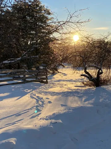 $379,000 | 254 Boynton Road, Unit SB3, Londonderry, VT 05148