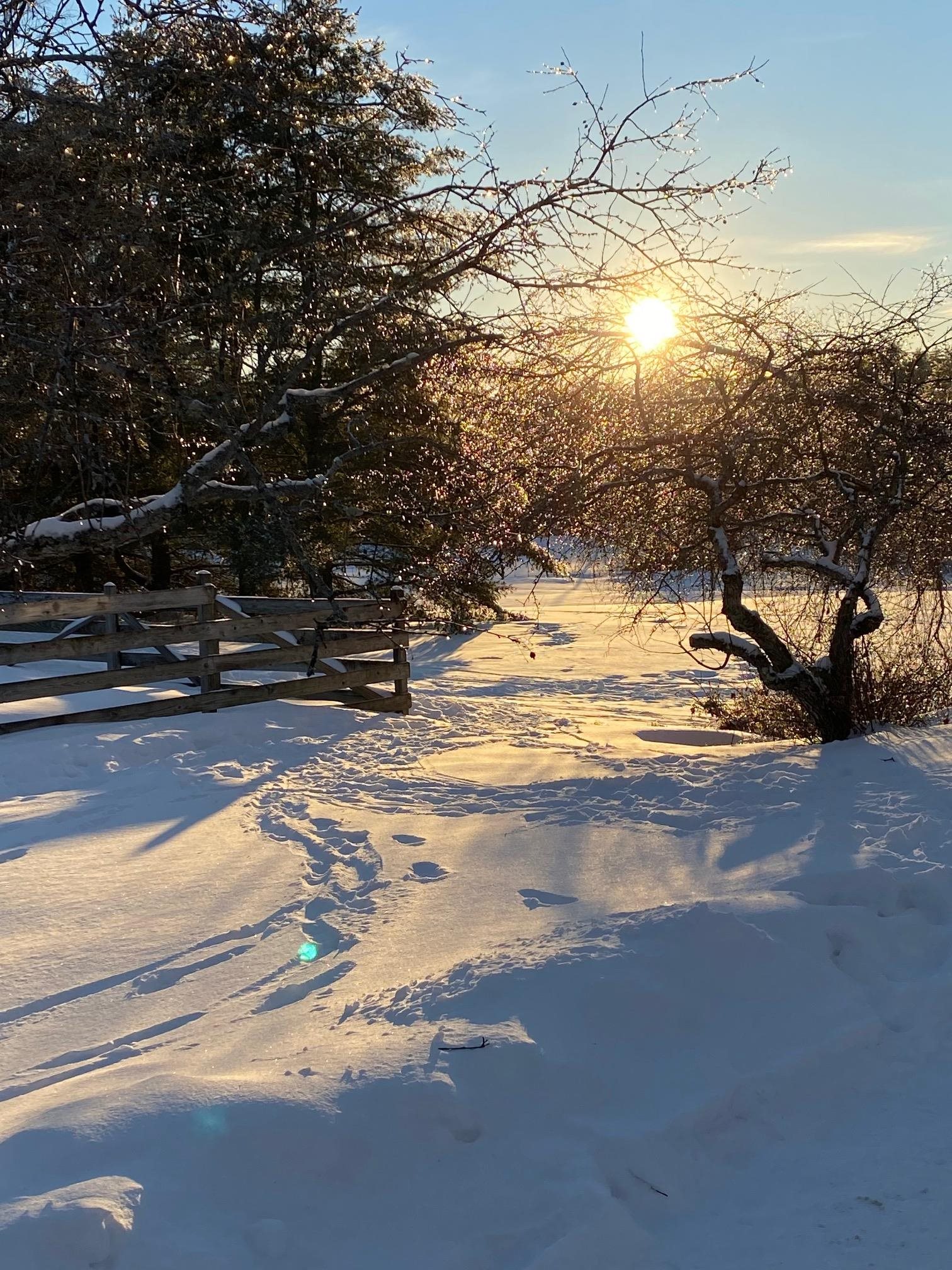 254 Boynton Road, Unit SB3 Londonderry, VT 05148 - Photo 37 of 40