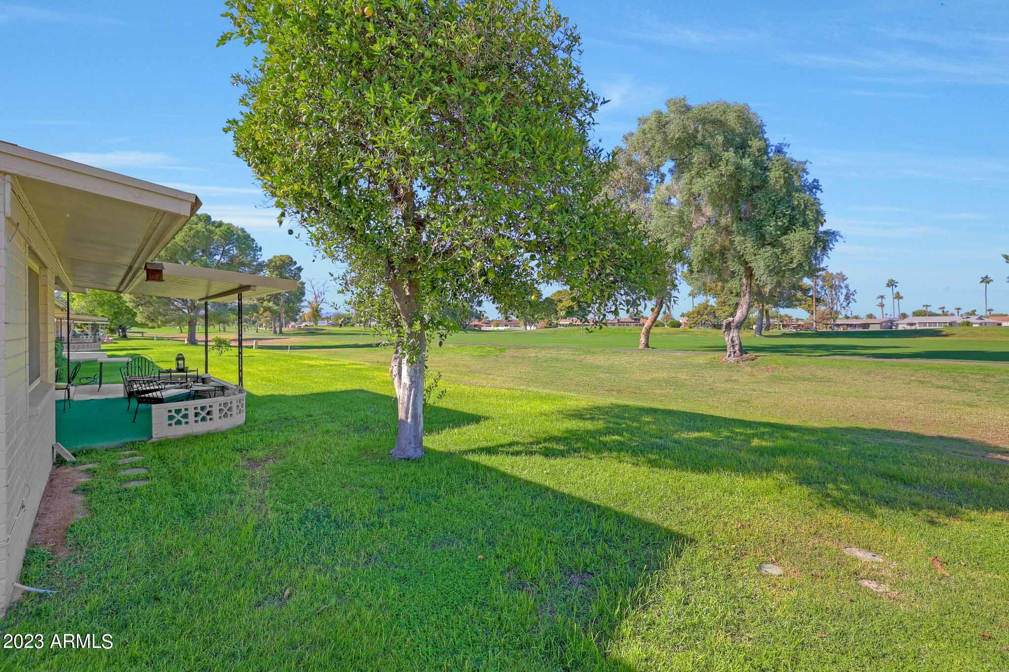 10130 West Mountain View Road Sun City, AZ 85351 - Photo 33 of 47 Backyard
