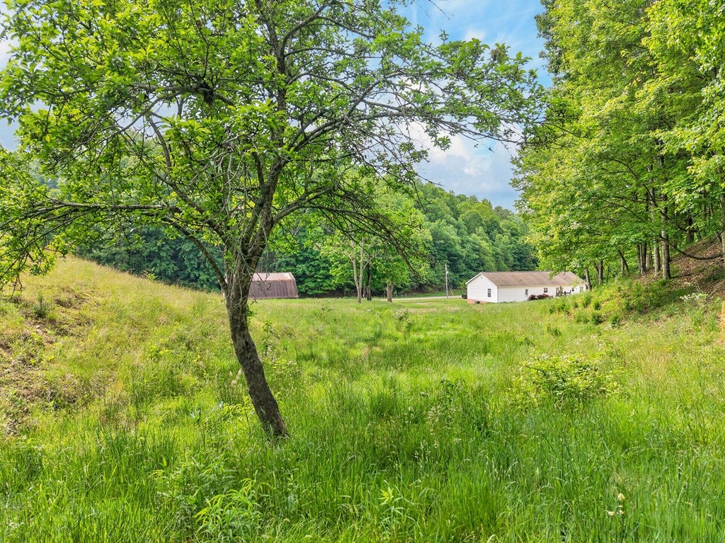 3771 Old Wilderness Road Ceres, VA 24318 - Photo 62 of 83 Gallery Image 62