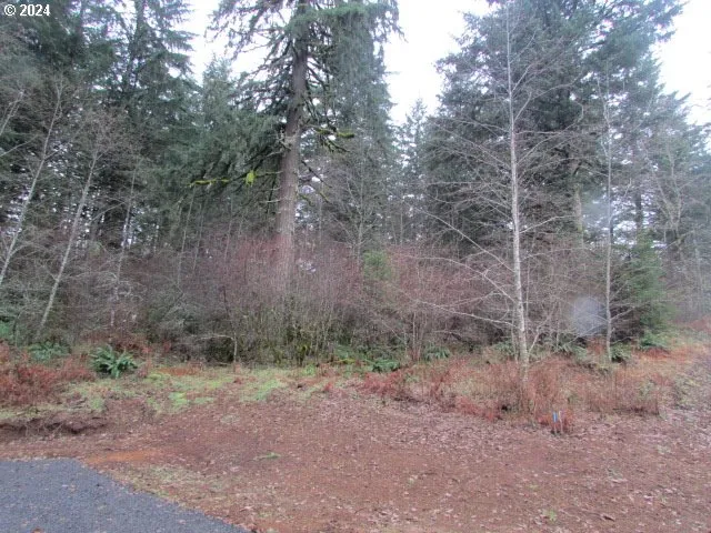 $359,000 | 19860 Sharon Tony Way Southeast, Silverton, OR 97381