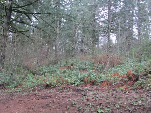 $359,000 | 19860 Sharon Tony Way Southeast, Silverton, OR 97381