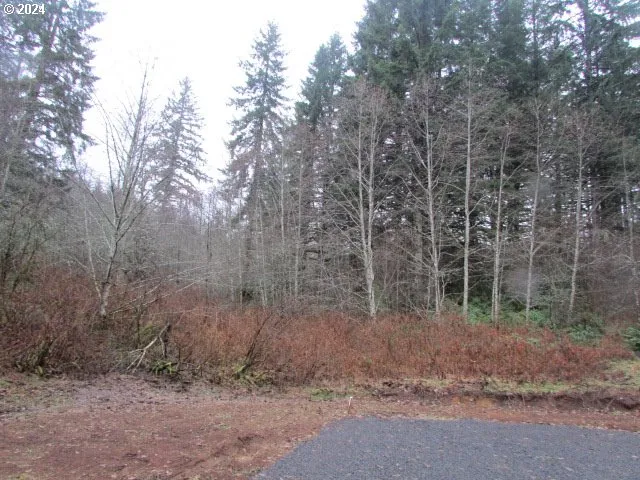 $359,000 | 19860 Sharon Tony Way Southeast, Silverton, OR 97381