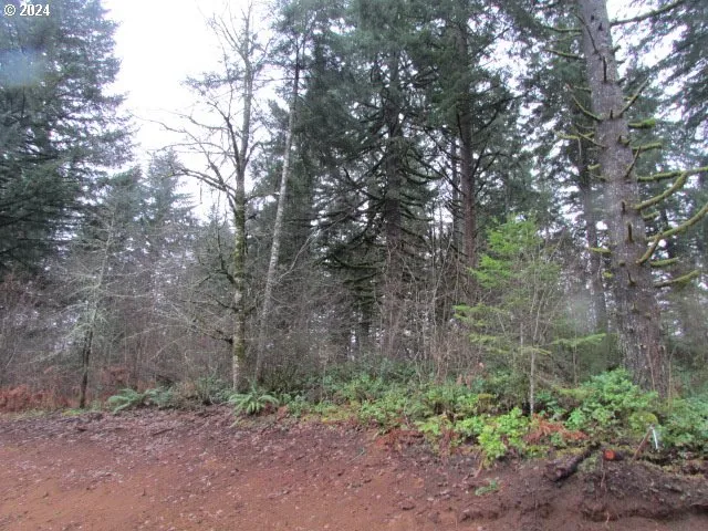 $359,000 | 19860 Sharon Tony Way Southeast, Silverton, OR 97381