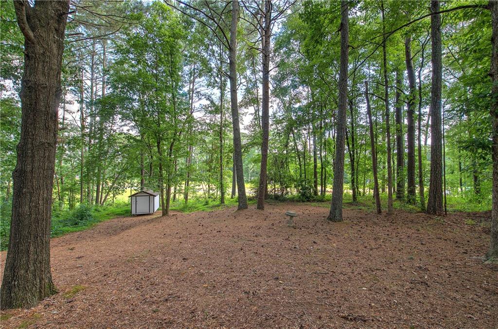 17 West Ridge Drive Southeast Cartersville, GA 30121 - Photo 34 of 37 a view of a forest with trees in the background