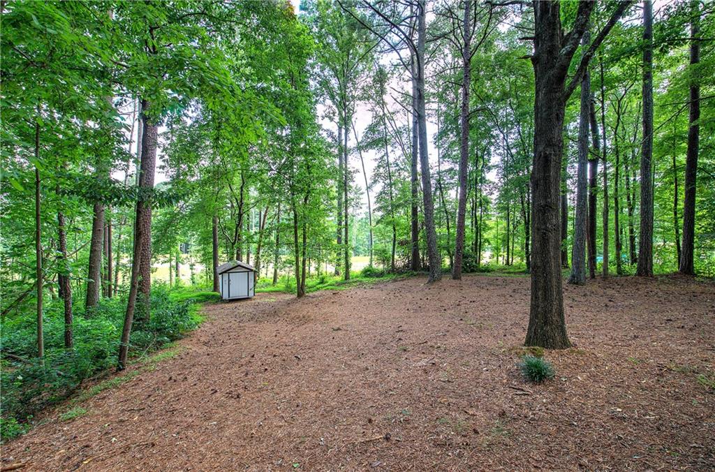 17 West Ridge Drive Southeast Cartersville, GA 30121 - Photo 35 of 37 a view of a road with plants and trees