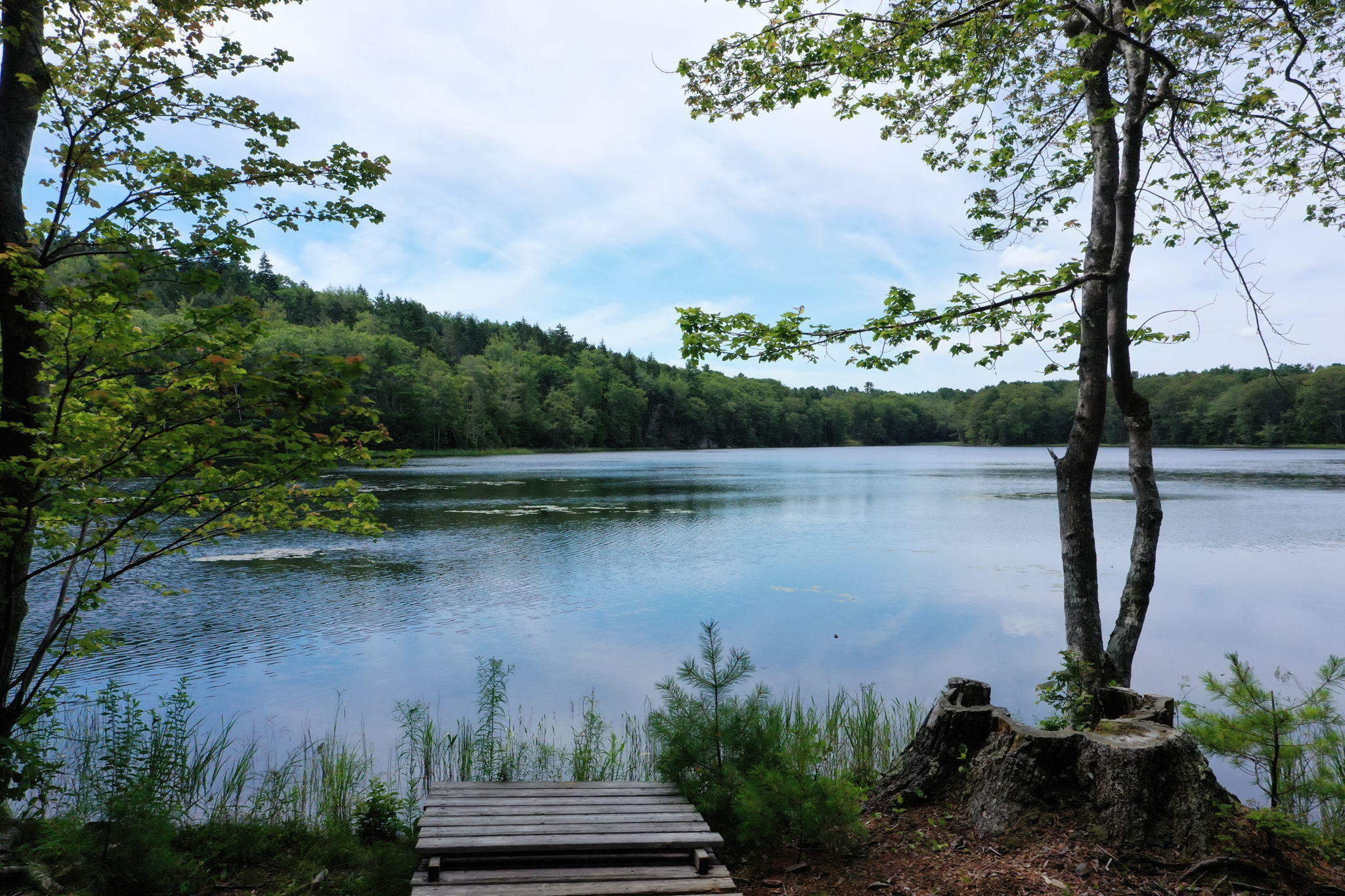 28 Beaver Run Way Boothbay, ME 04537 - Photo 2 of 90 Meadow Pond
