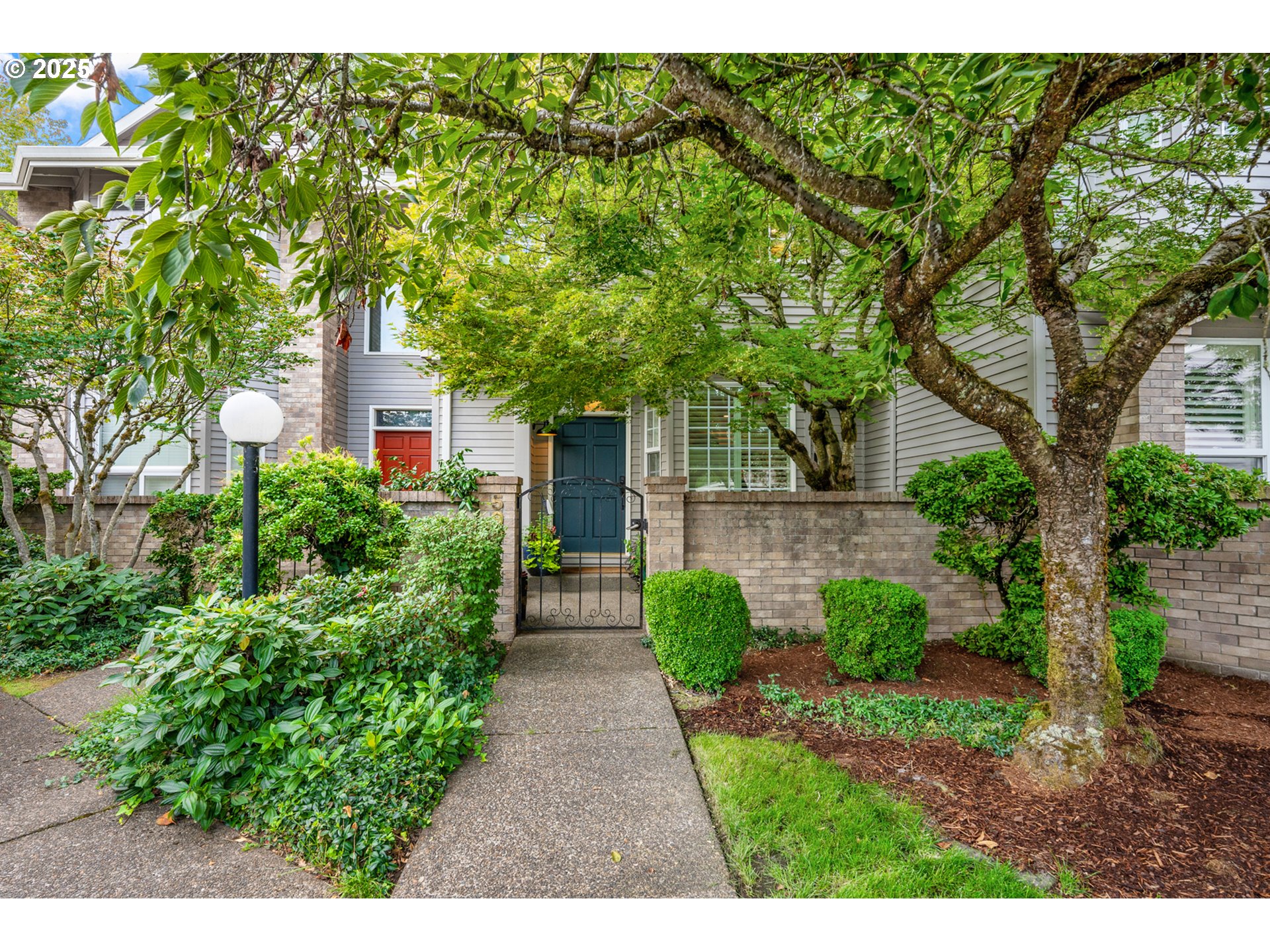 a view of backyard with potted plants and a large tree