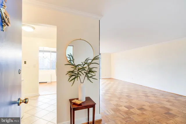 a view of a room with a potted plant and a window