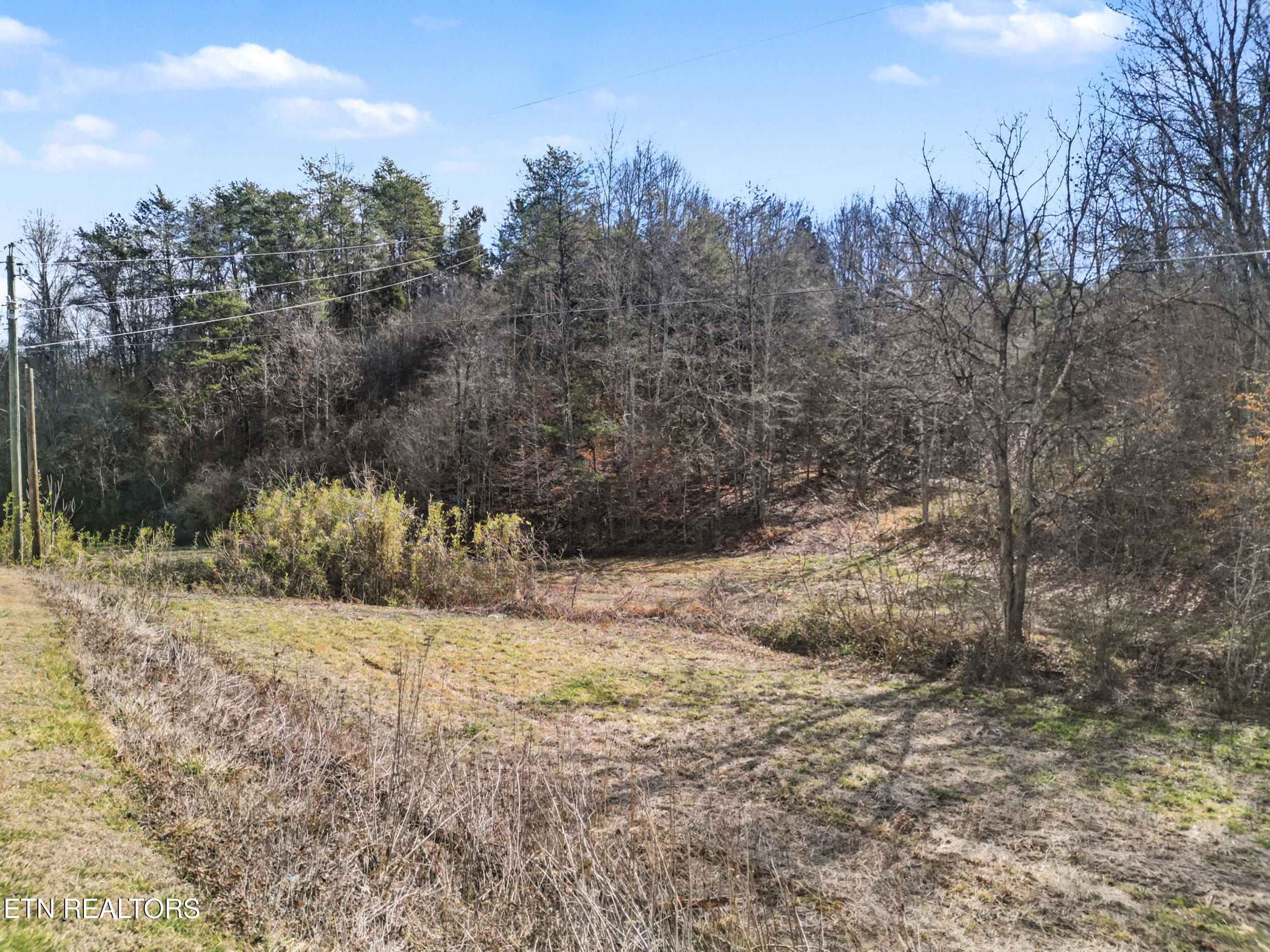 Stanton Road Seymour, TN 37865 - Photo 15 of 27 13_dji_0085