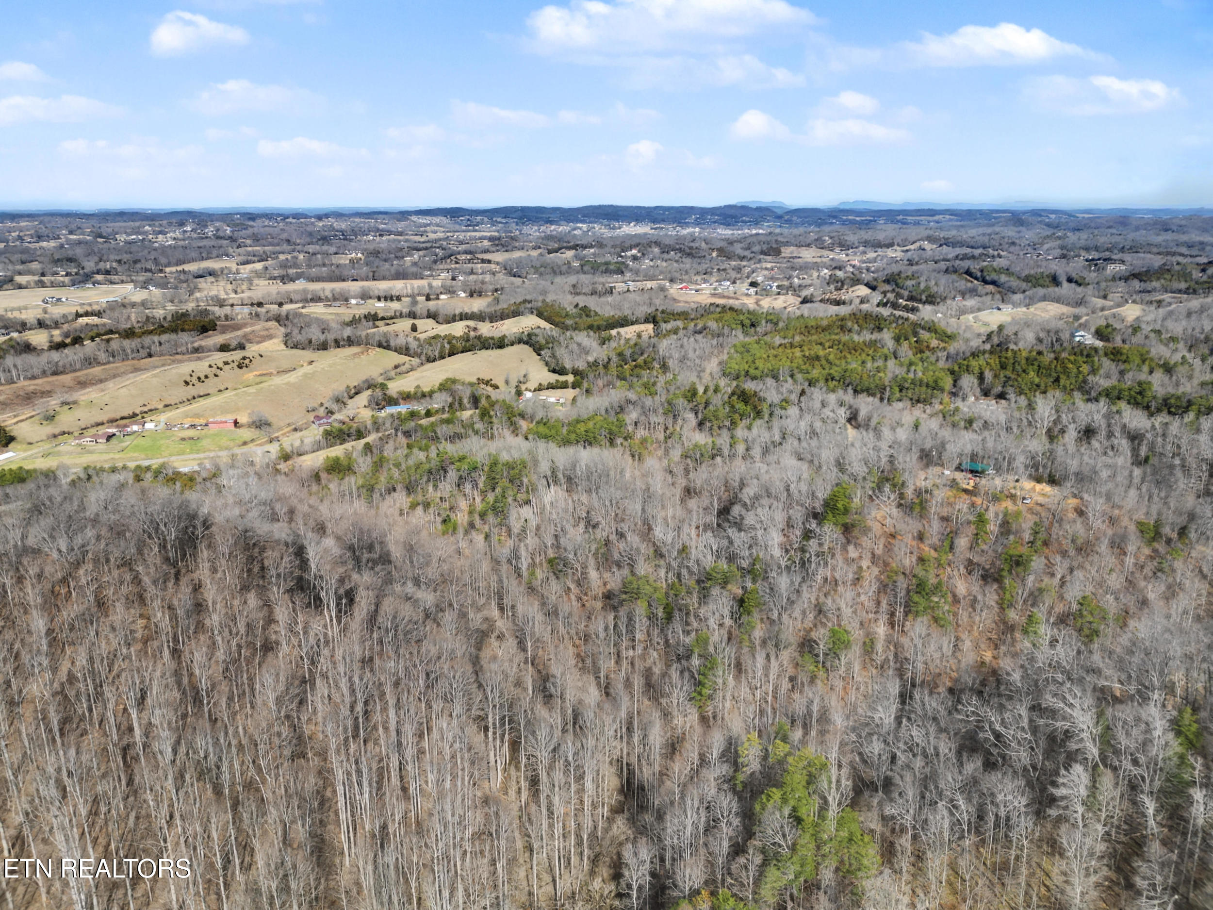 Stanton Road Seymour, TN 37865 - Photo 19 of 27 18_dji_0112