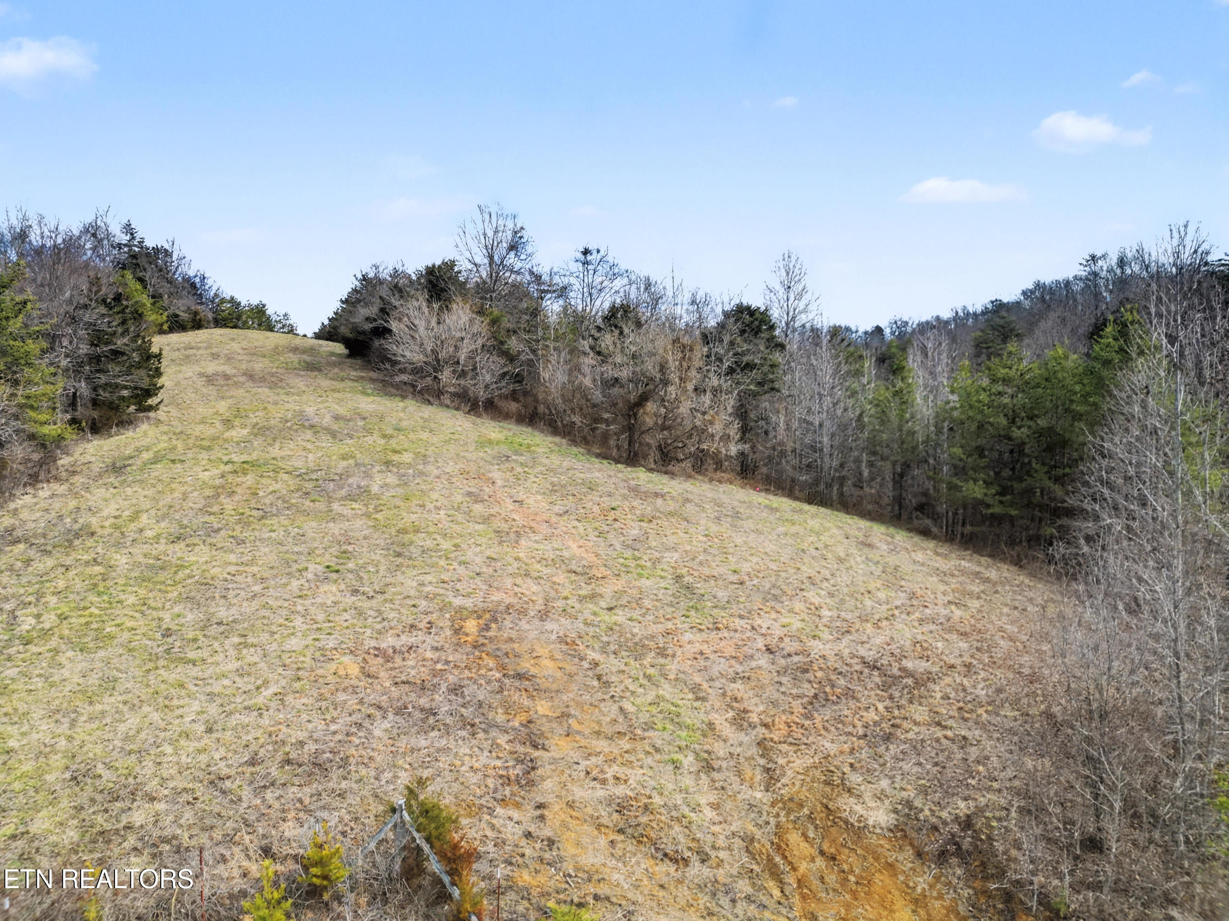 Stanton Road Seymour, TN 37865 - Photo 8 of 27 20_dji_0144