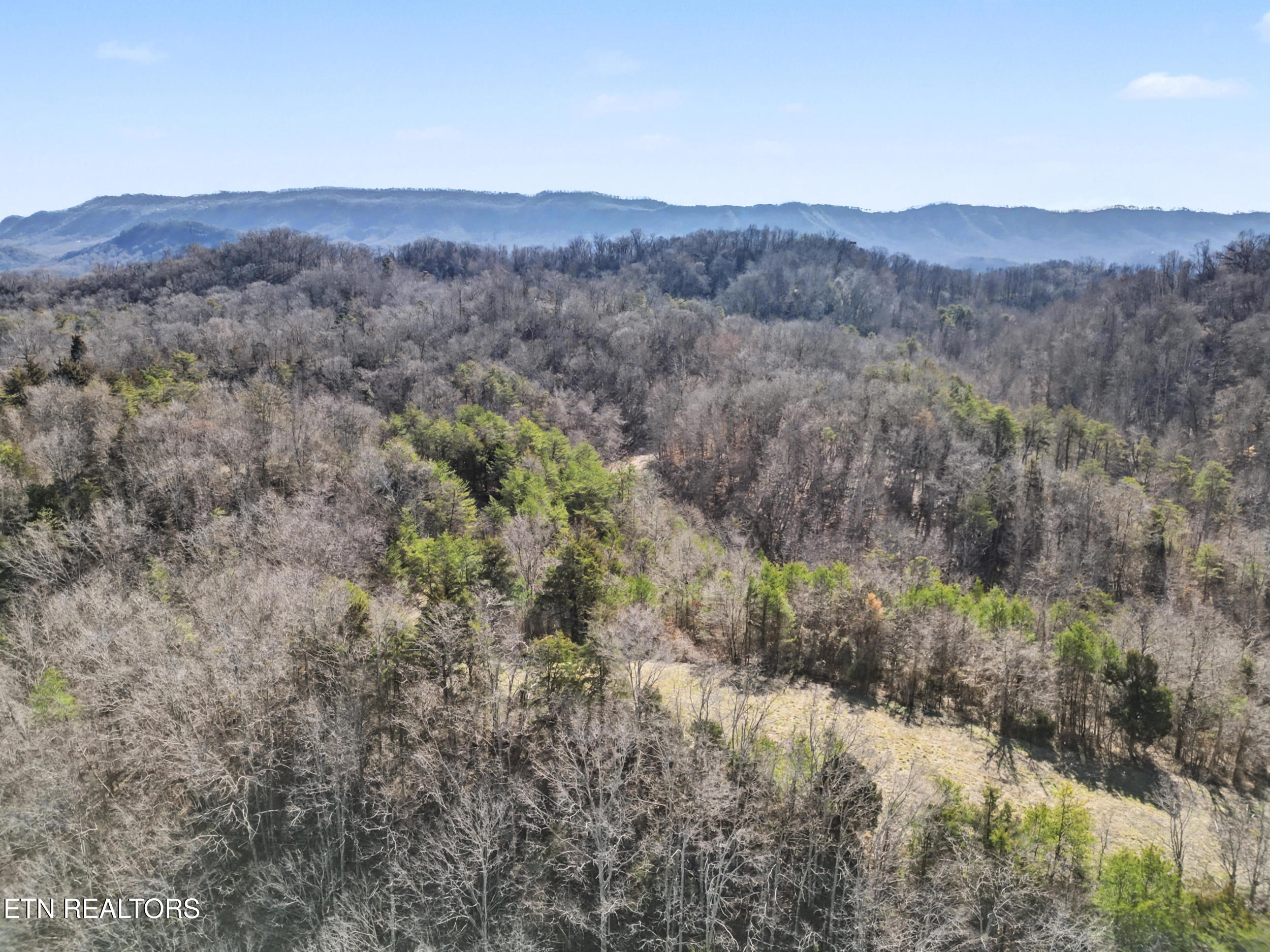 Stanton Road Seymour, TN 37865 - Photo 9 of 27 5_dji_0046