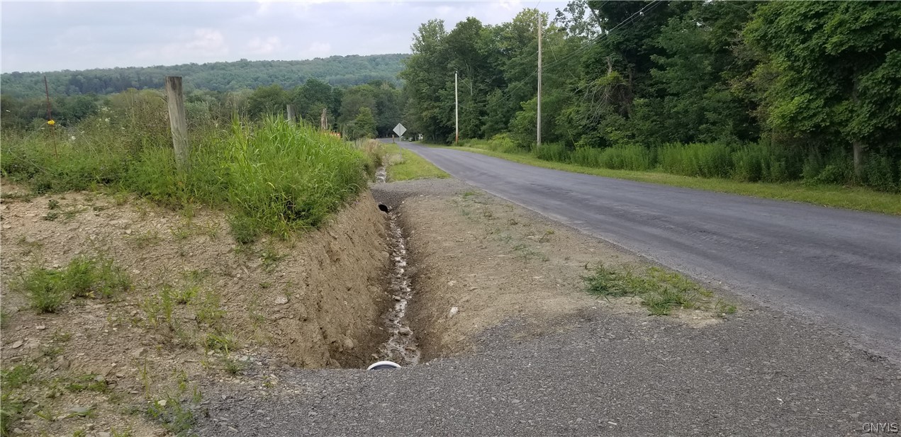 0 Fish Road Trumansburg, NY 14886 - Photo 8 of 8