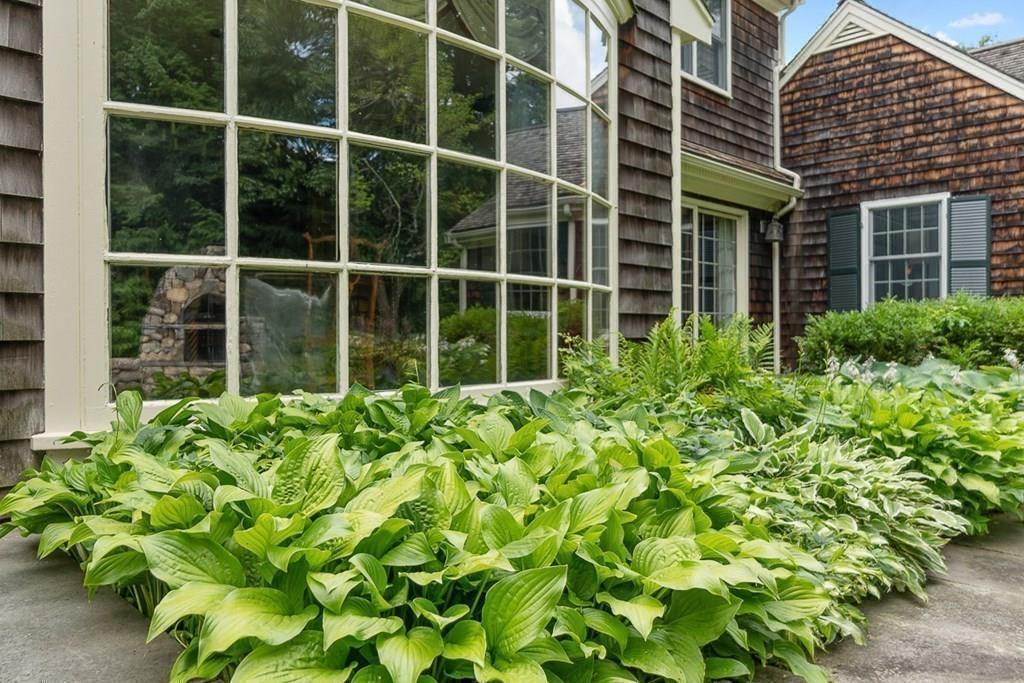 18 Wheeler Road Lincoln, MA 01773 - Photo 37 of 42 a view of a garden with a plant