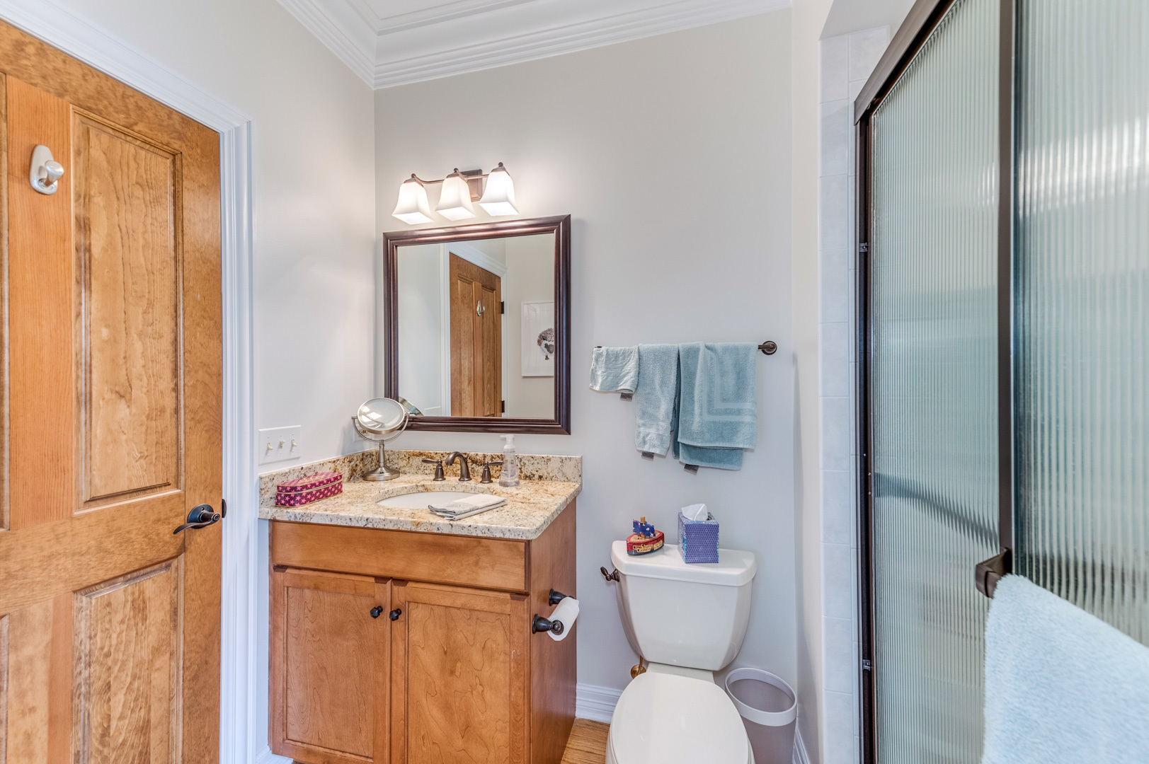 1009 Sutton Place St. Charles, IL 60174 - Photo 18 of 41 a bathroom with a sink vanity mirror and toilet