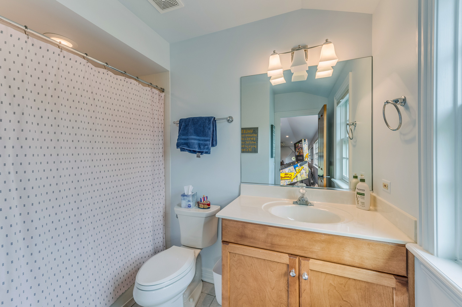 1009 Sutton Place St. Charles, IL 60174 - Photo 23 of 41 a bathroom with a sink vanity mirror and toilet