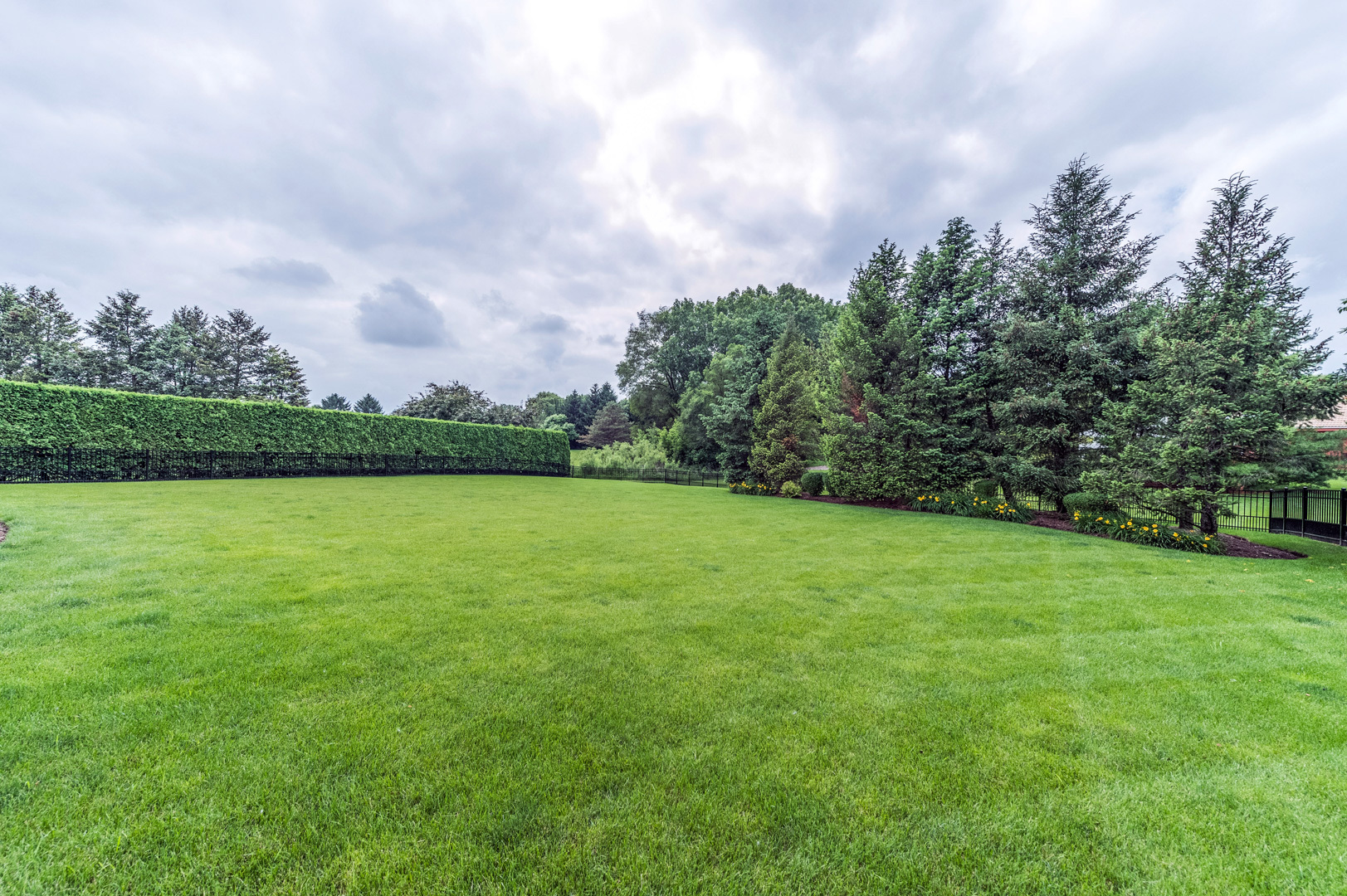 1009 Sutton Place St. Charles, IL 60174 - Photo 40 of 41 a view of a big yard with plants and large trees