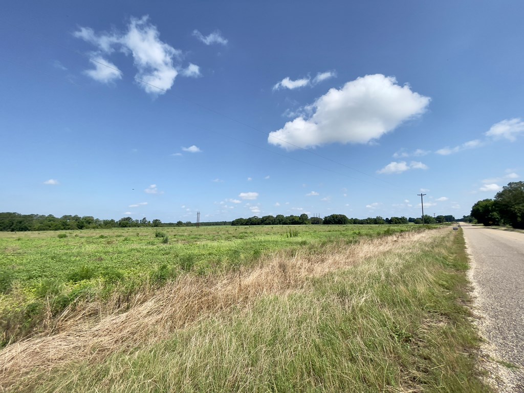 0 Gilley Mill Road Webb, AL 36376 - Photo 7 of 14